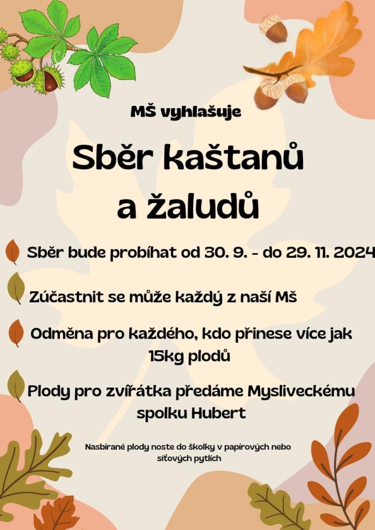 Sběr kaštanů a žaludů